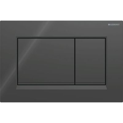 115.883.DW.1 Geberit Sigma20 Клавиша для двойного смыва, квадратная: черные, декор. полоски: черный матовый