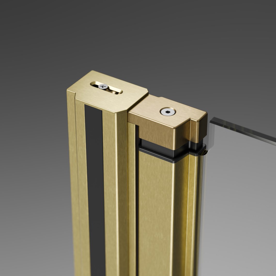 Душевая дверь 70-90 см. складная Radaway NES BRUSHED GOLD DWB