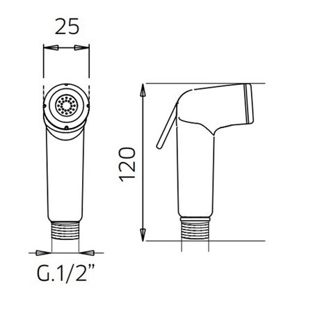 99118953 Palazzani гигиеническая лейка из ABS пластика, 1/2", золото