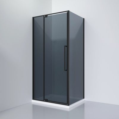 8181000G Душевое ограждение B&W S818 BG (1000х800х1950)