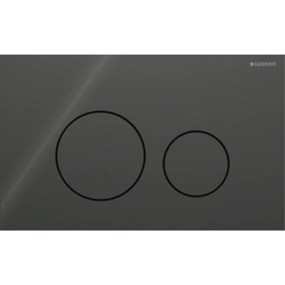 115.628.SJ.1 Geberit Sigma40 Клавиша для двойного смыва, круглая: Черный